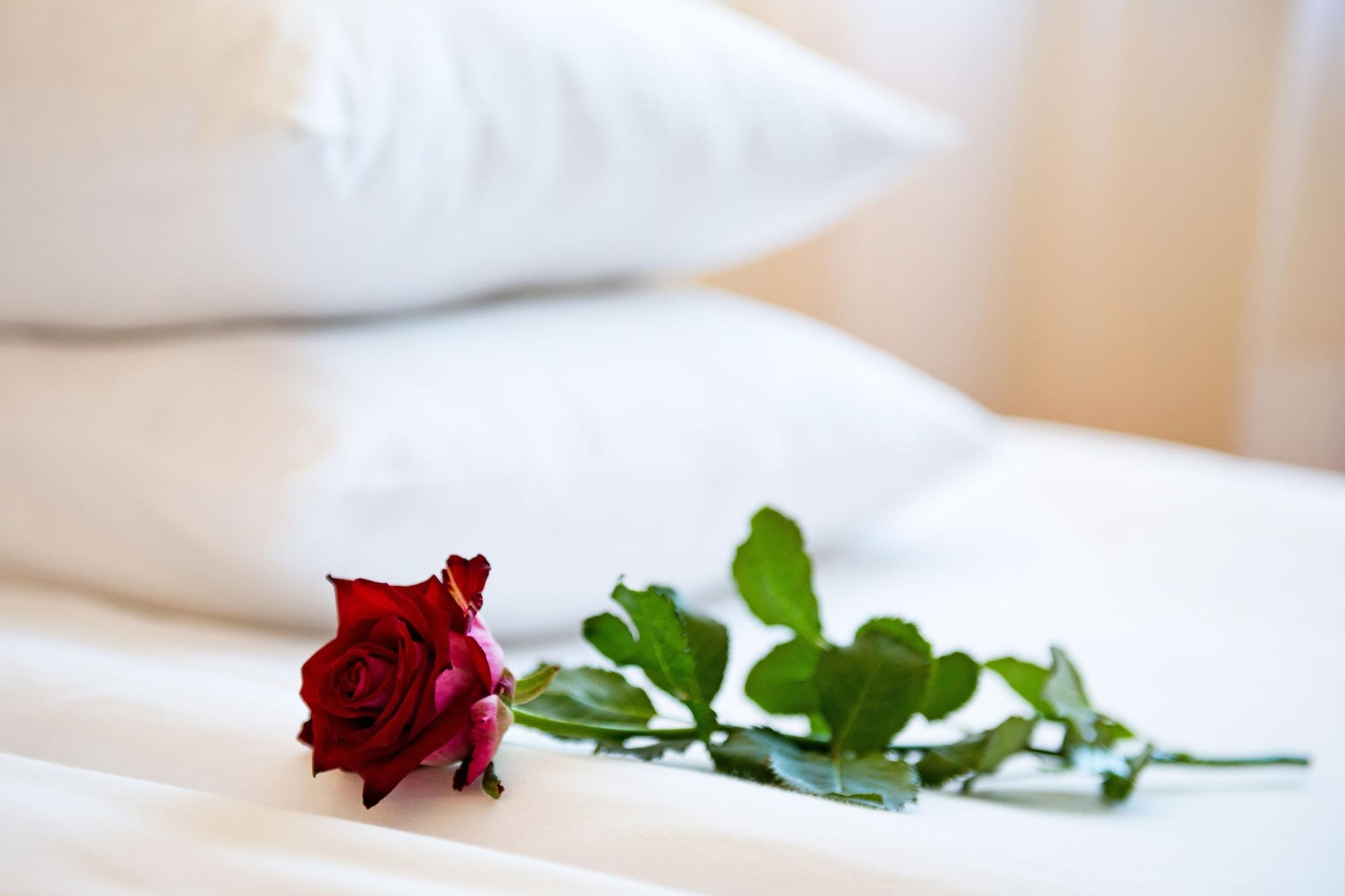Best Baltic Hotel Palanga Luaran gambar